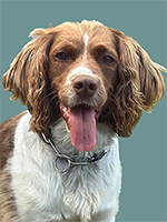 Painted (Charges Apply)