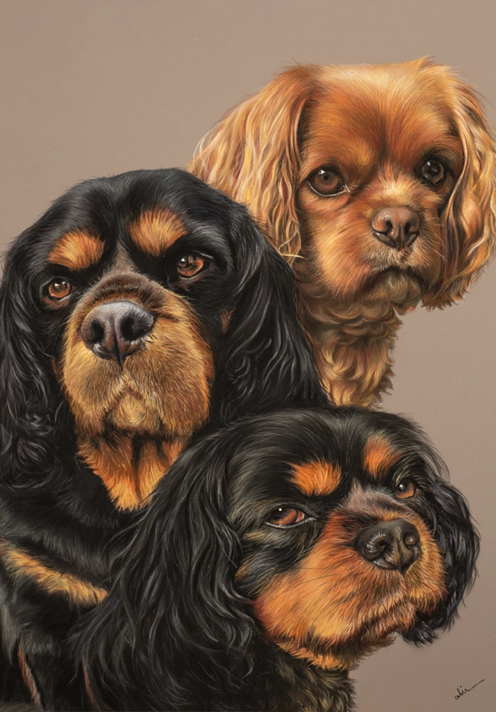Threedog_HP copy